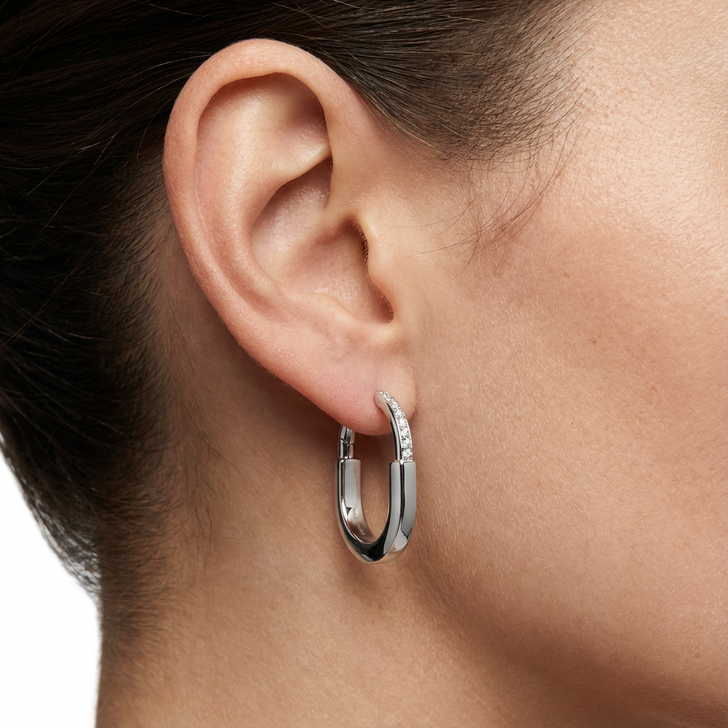 Серьги Aurelia Circle (импортированная модель в коробке)