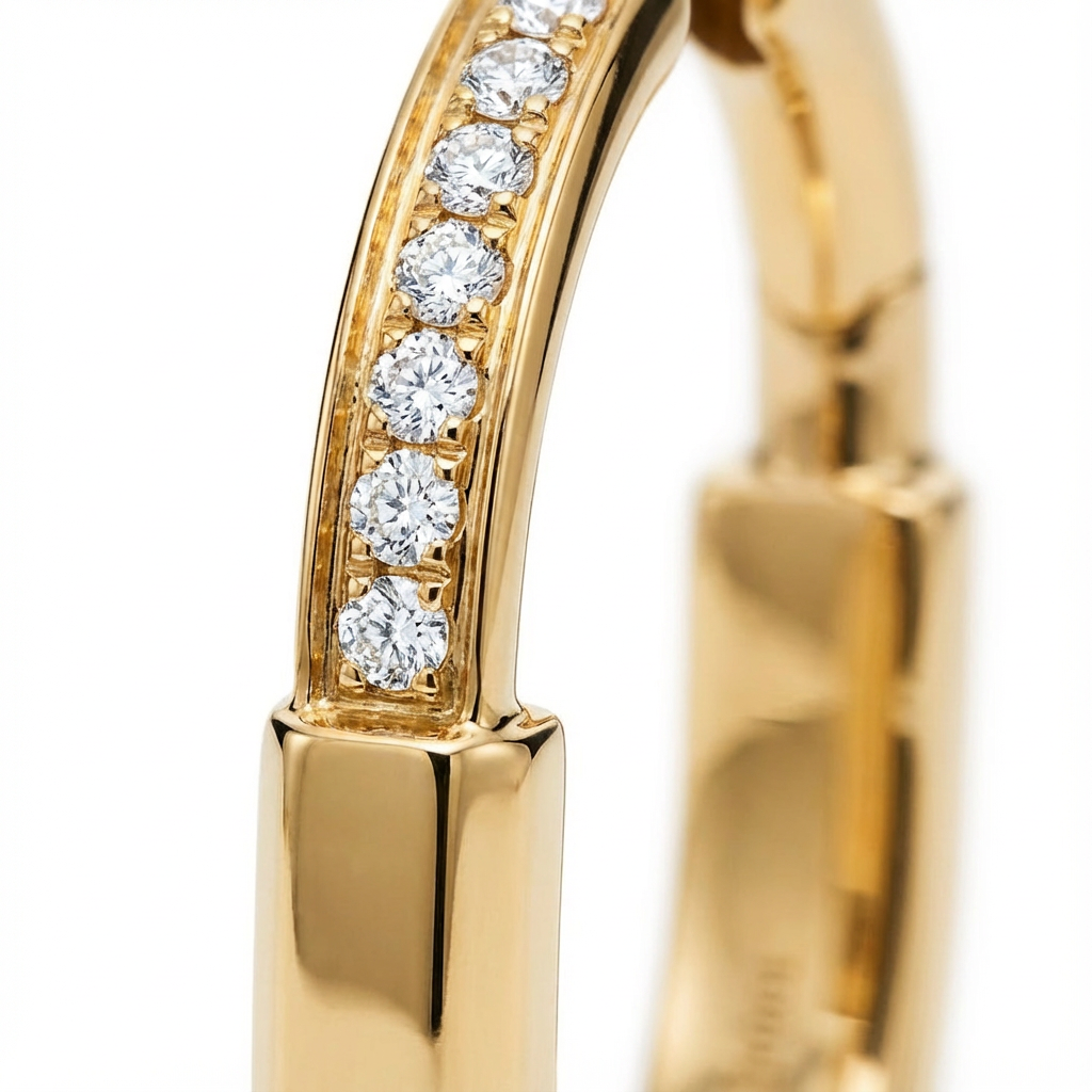 Aurelia Circle Earrings (Imported Boxed Model)