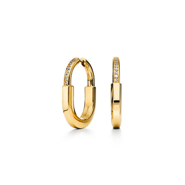 Aurelia Circle Earrings (Imported Boxed Model)