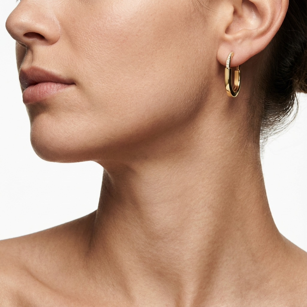 Серьги Aurelia Circle (импортированная модель в коробке)