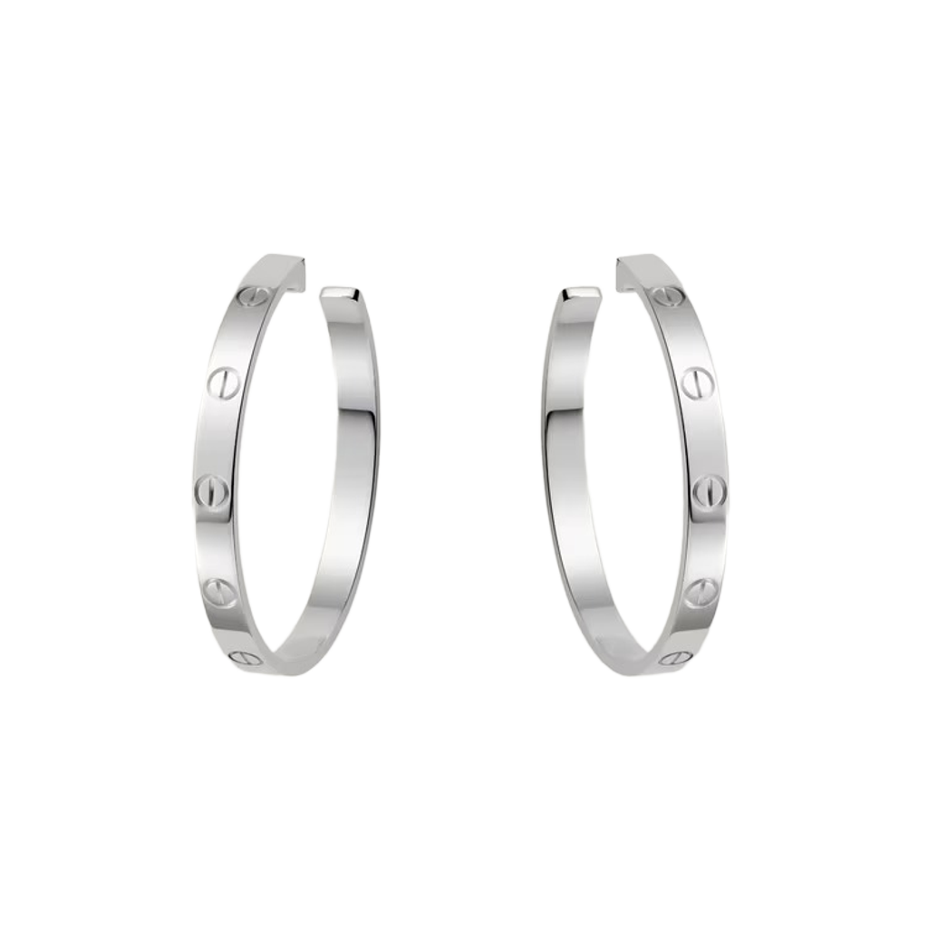 Lucent Earrings (Imported Boxed Model)