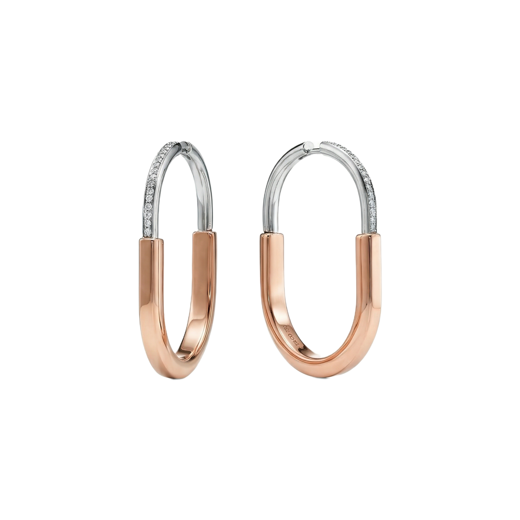 Two-Tone Eternity Küpe (İthal Kutulu Model)