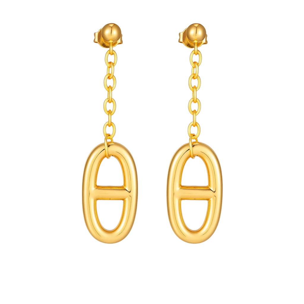 Celeste Loops Earrings (Imported Boxed Model)