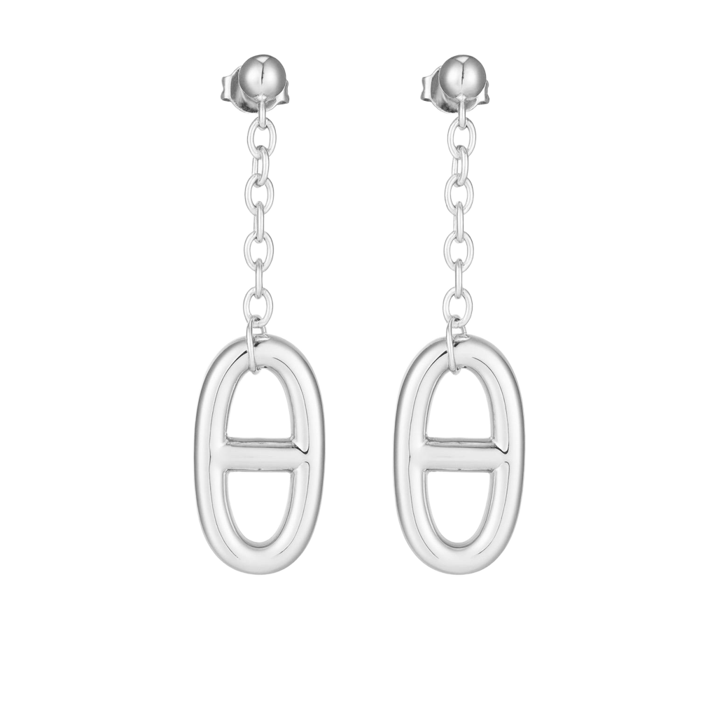 Celeste Loops Earrings (Imported Boxed Model)