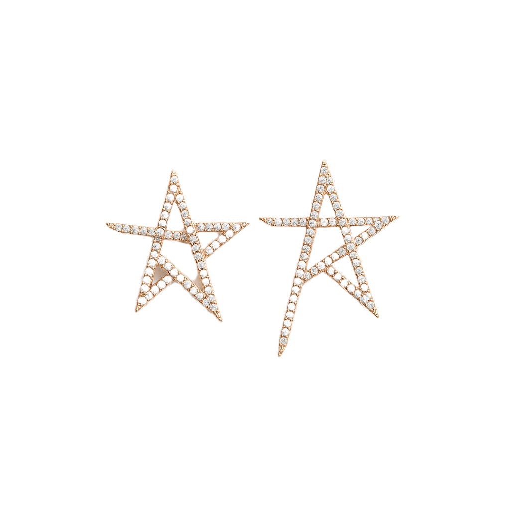 Lucida Earring