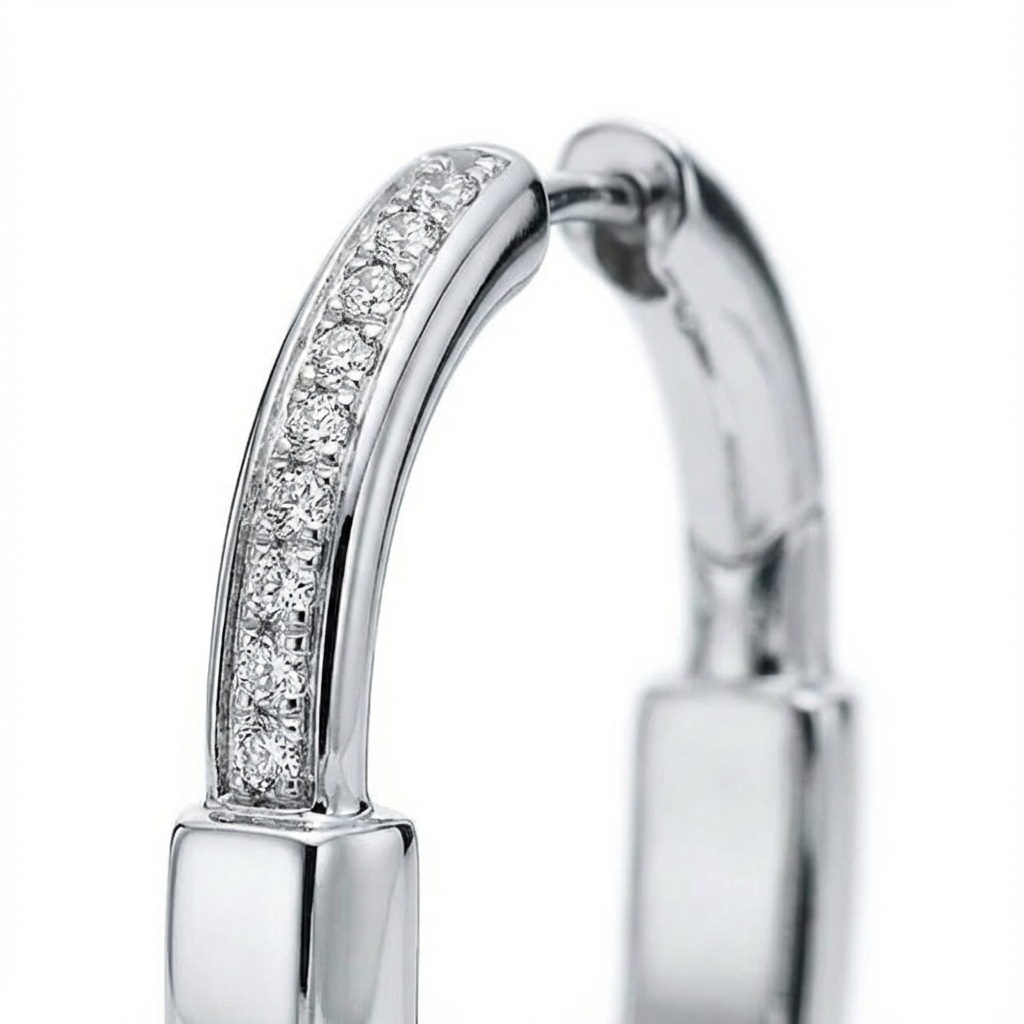 Серьги Aurelia Circle (импортированная модель в коробке)