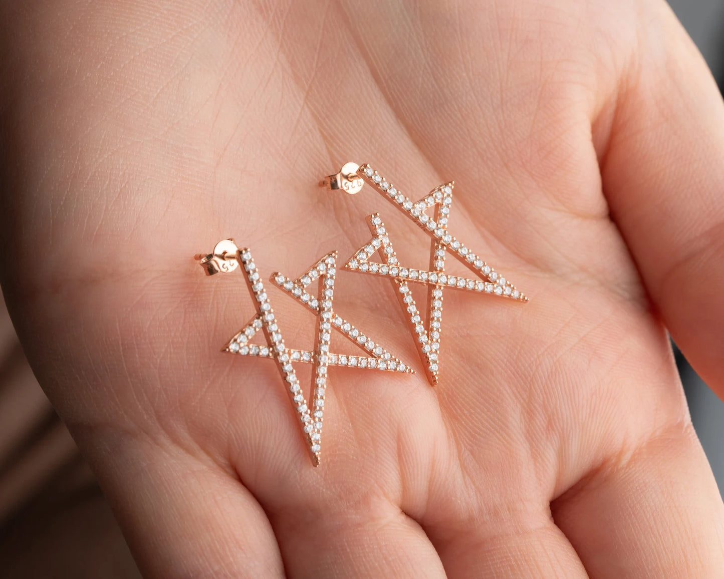 Lucida Earring