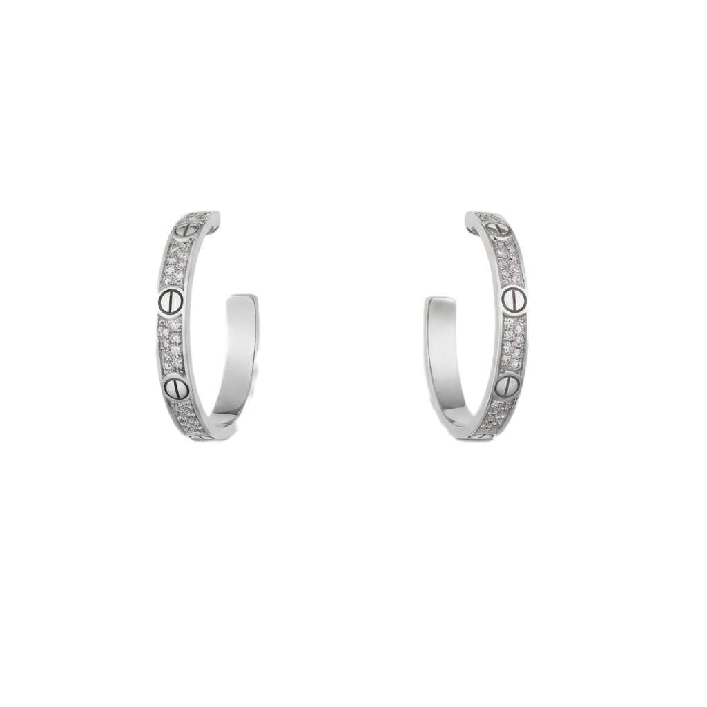 Boltline Küpe (İthal Kutulu Model)