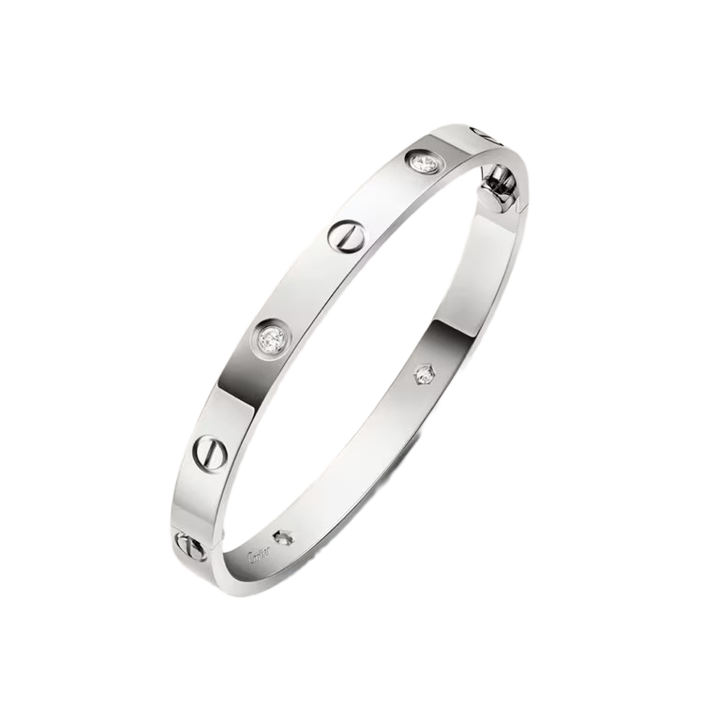 Liora Leaf Kelepçe (İthal Kutulu Model)