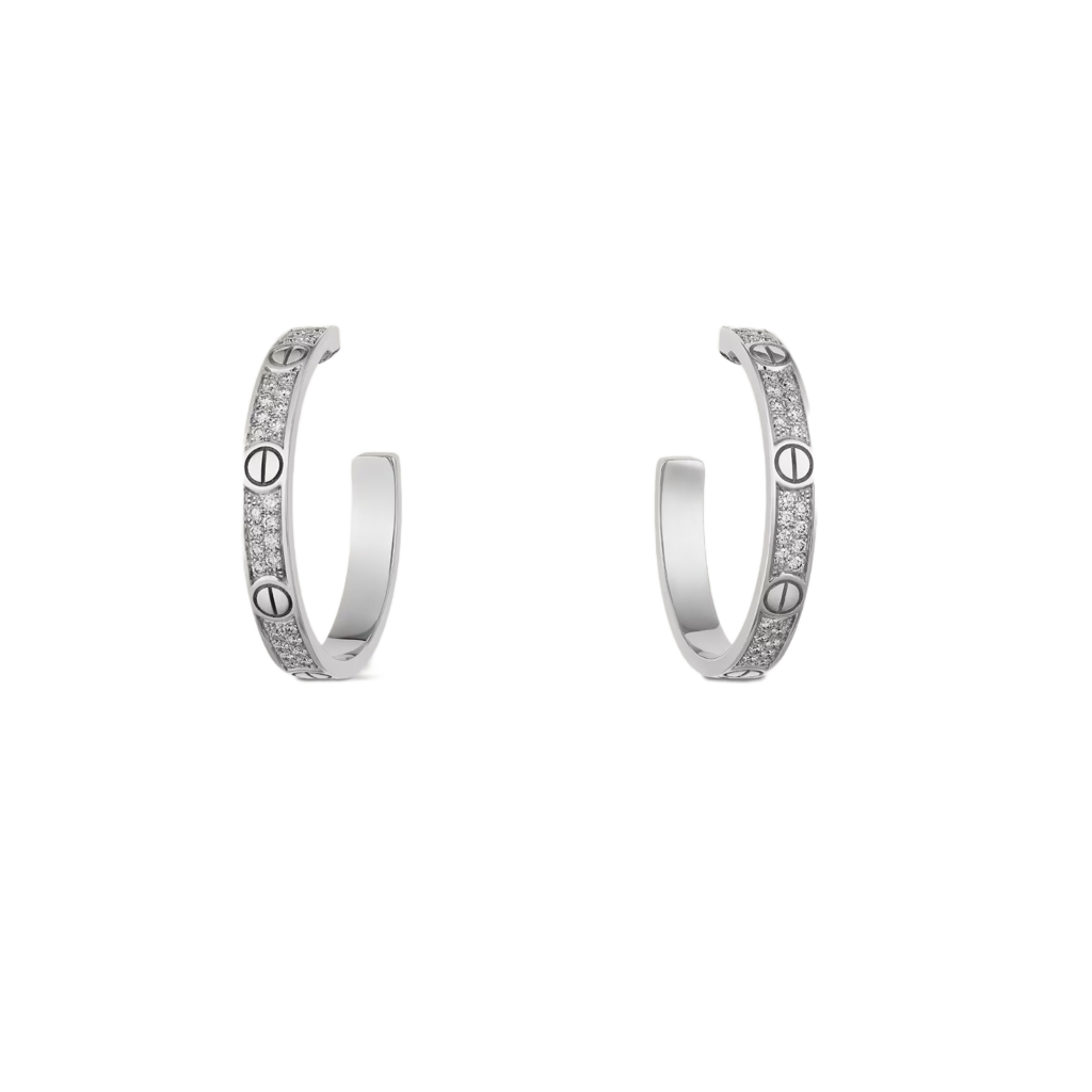 Boltline Küpe (İthal Kutulu Model)