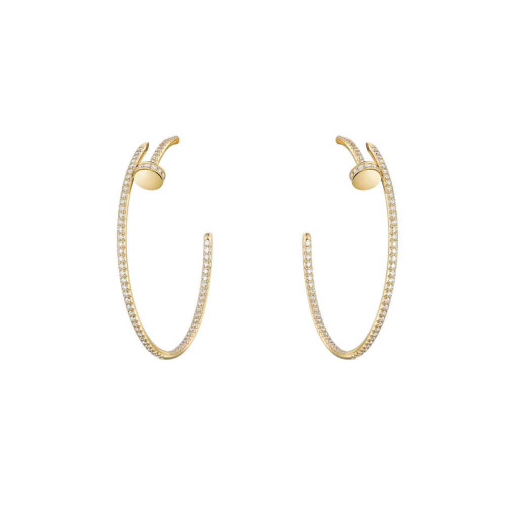Voltare Hoop Earrings (Imported Boxed Model)
