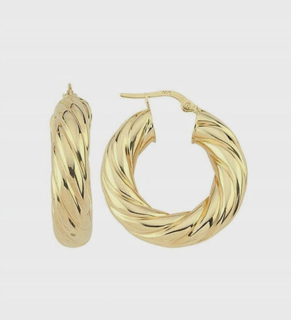 Vortex Shine Earrings